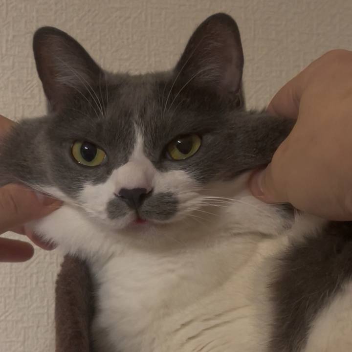 477618ad 210e 4f6a bd84 14fbbb581b8c 1754998067512