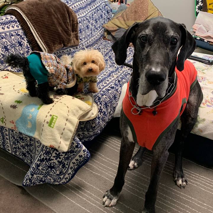 47763fc0 b94a 4cc4 a115 836ff3ea20b3 1585521404757