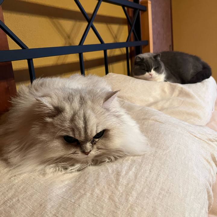 477641d0 463f 4f99 bd64 5c160a841488 1706012986381