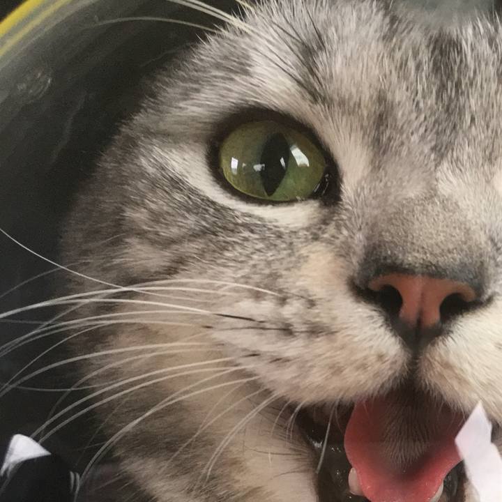 477666a3 d2ac 4ab2 8484 ee809c12340a 1727828868517