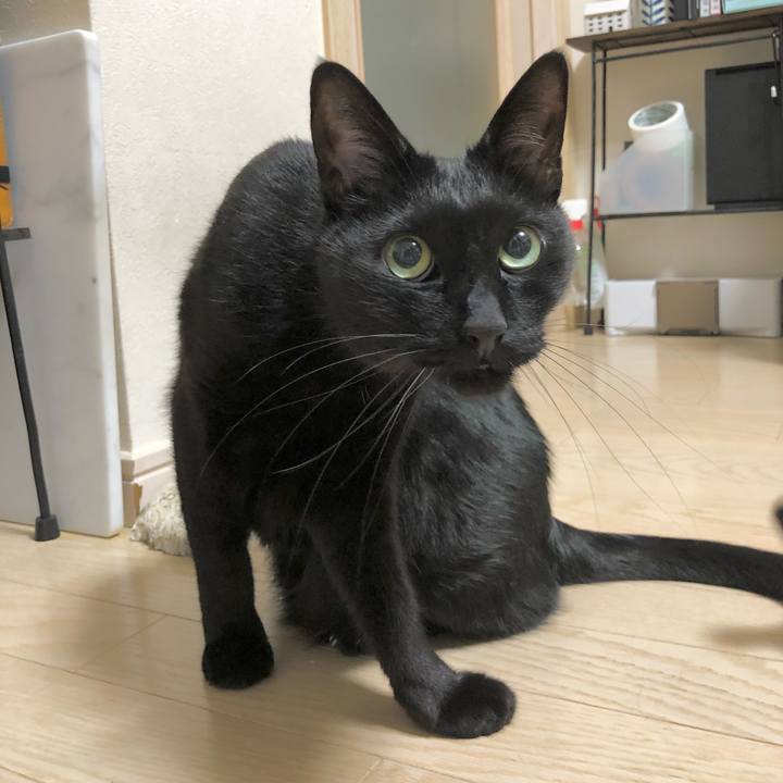 477688bc 4923 4fdf 84b6 a13232071f5f 1638195860881