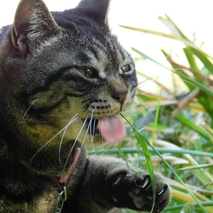 4776fd1c a562 4138 b602 3487184189a5 1557039524122