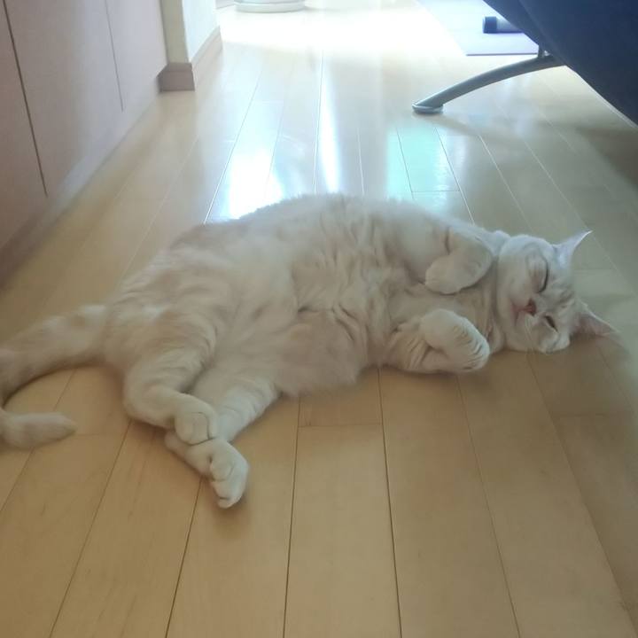 47771457 1992 48ca 8aa4 92cfa6dd30b1 1563164091347