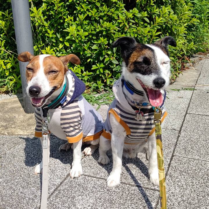 47771e6a 29b5 4b0a 89c5 203820e38508 1687652479537