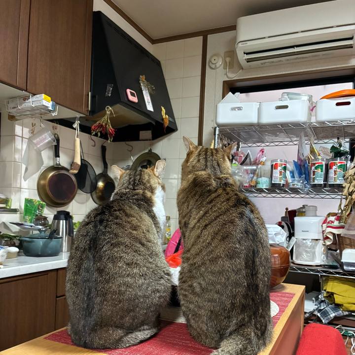 4777455e b266 44d7 b9b3 e135351b7235 1764288185468