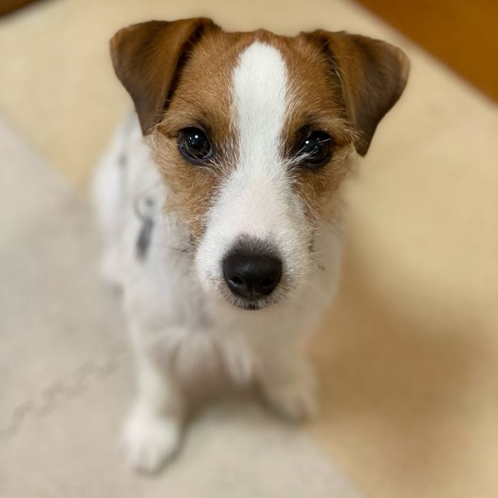 47776ecb fc73 4efe b77a e9970b74aaef 1630880447548