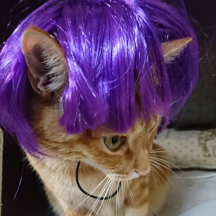 477783b6 1316 448f b6d9 be0b8e97fe20 1537533510883