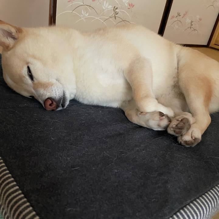 4777856a 6461 4cb6 a296 05608460fd7b 1748497686125