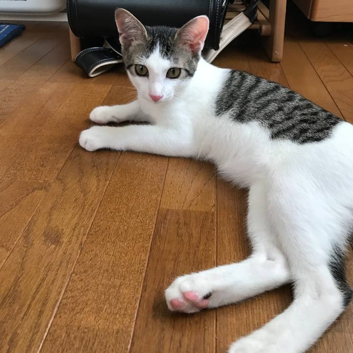 47779579 b581 4c1e af0c 20fd993e2f56 1534204838813