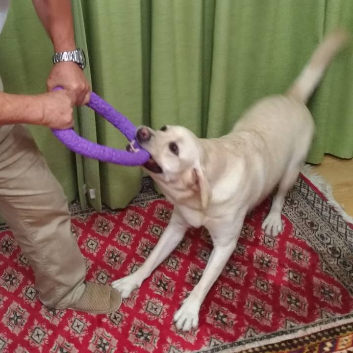 4777c713 58b1 45fc a8a2 8dd3ca8cdc1c 1539217883328