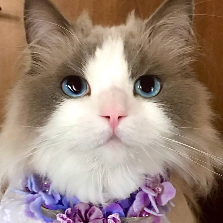 4777d00e 7094 4398 9a4a 0e926ba86846 1624655859803