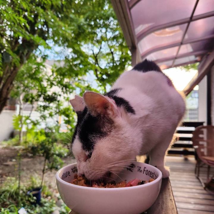 4777ec64 3e46 47e4 8375 4b2f904769a8 1759464068049