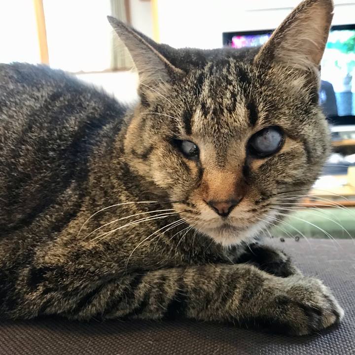 47782447 c976 4a40 b7e9 f6fc63ecbcf0 1616137122320