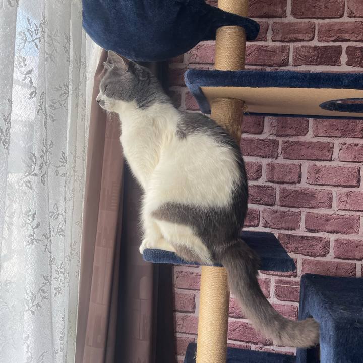 477853e6 d23f 4117 811d 053fa5b2656c 1745878910769