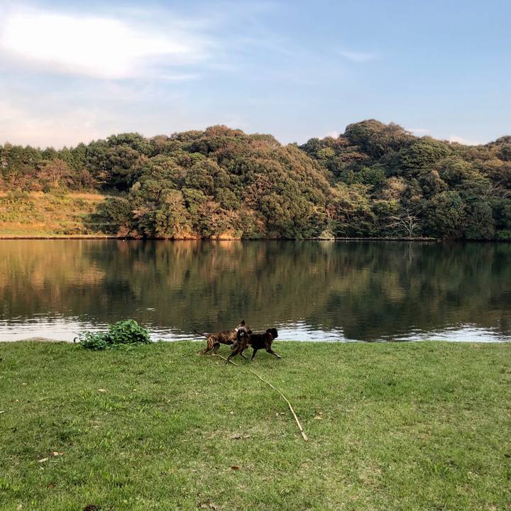 477862c1 5c5d 4af2 9e35 149febb23880 1572695998098