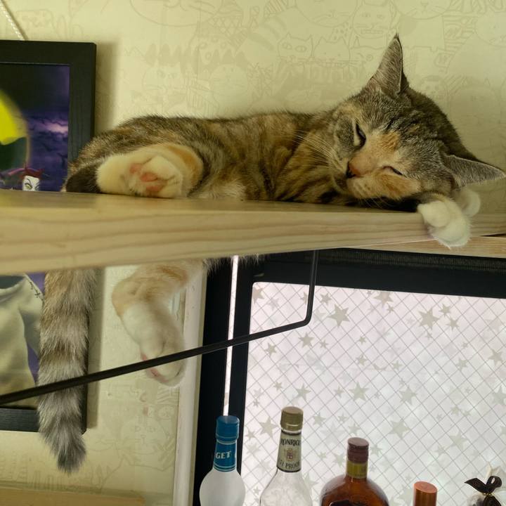 4778784f 8fd6 4fb1 8ead 4cf4b9da75a2 1596288288749