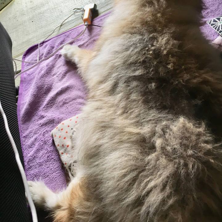 477881d4 07f6 47da 8ebc 6e5d2e5d1973 1592359028922