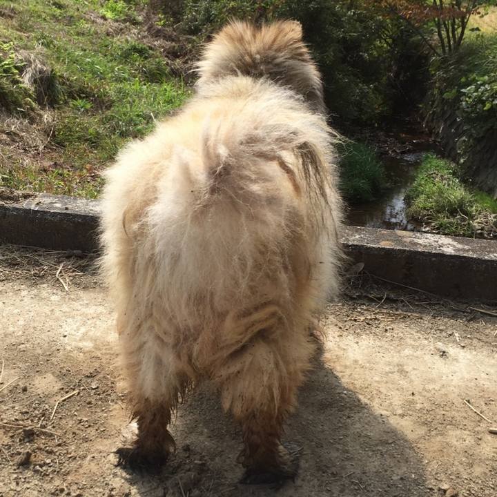 47789a85 444f 49b3 a41b 6e1bec5abb08 1654857761677