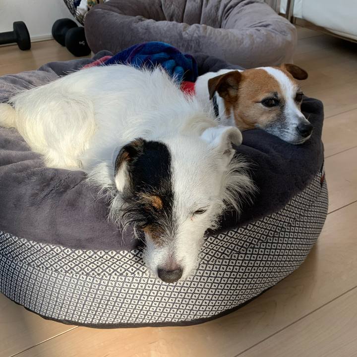 47789fc7 69c7 4c41 8e04 108ba0ed9ee4 1585869718994