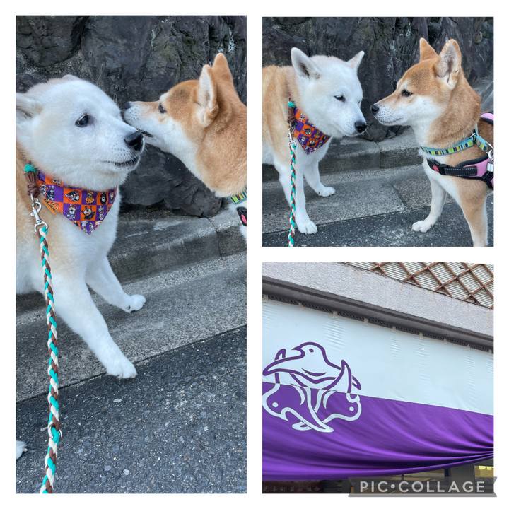 4778a301 87a0 463a 8f8c 1603576d781c 1666315323887