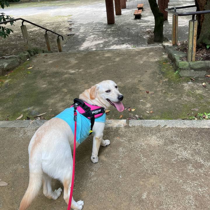 4778a4c6 689a 4bf4 abb1 18436024c7b1 1629796086596