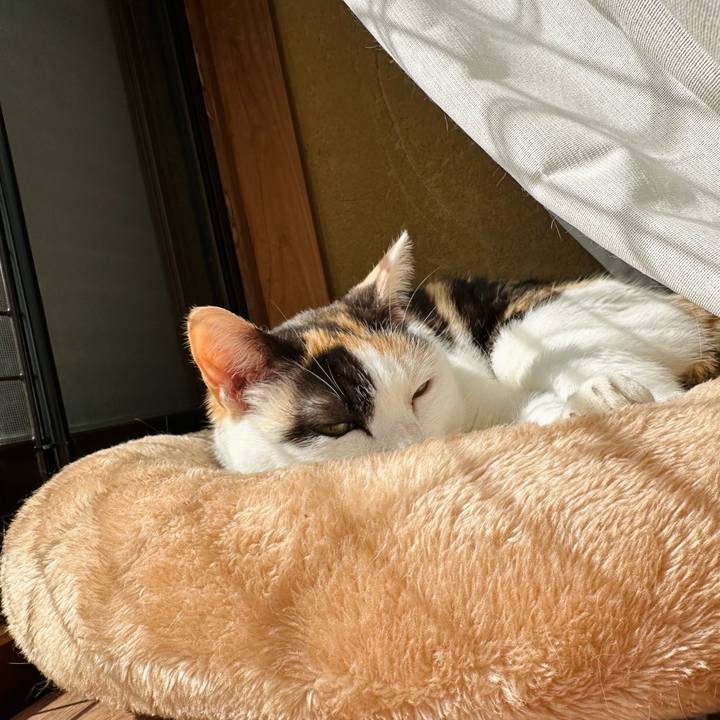 4778a645 7d18 4161 b555 b4cd115db97e 1711590683267