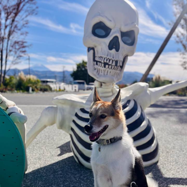 4778b399 a207 4bc7 be42 1060419a9840 1762225012688