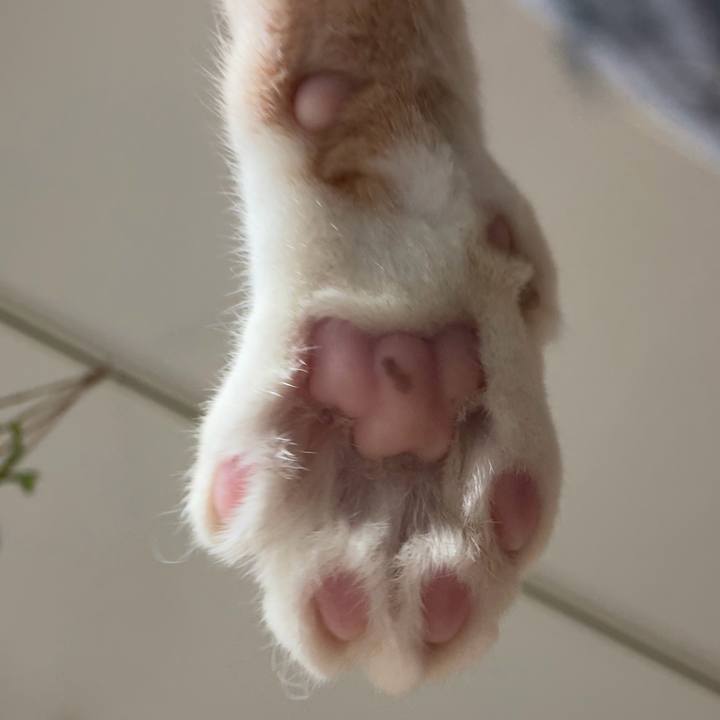 4778cfdd 0ec6 466d af41 e480e30995a5 1768704759898