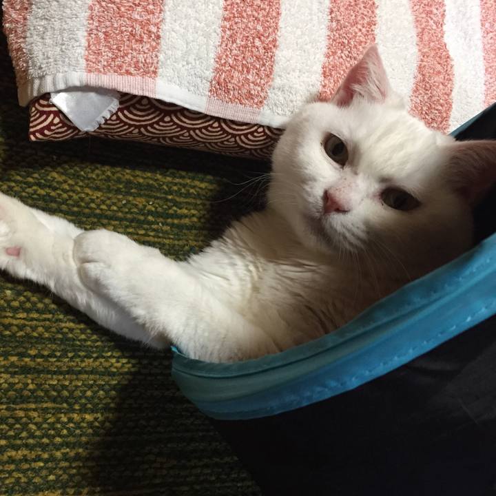 477906f9 b341 441c a581 0f59897a79a2 1513596655307