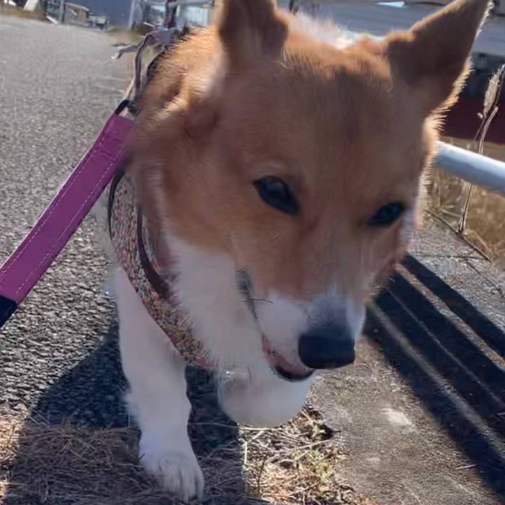 4779162c f373 40b6 b000 bc8aee310f6f 1671525341905