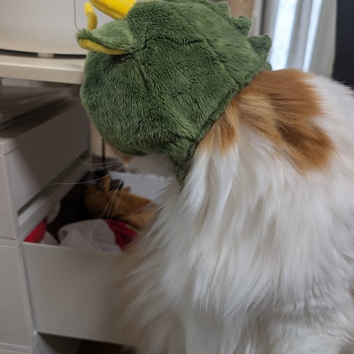 477935a8 b6a2 4fb2 a21b e8eb000e9807 1749916264883