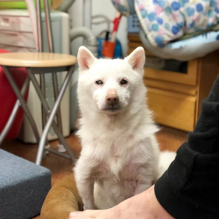 4779430f 2d7d 40ea a9a3 e6c540f2bf6e 1615123462434