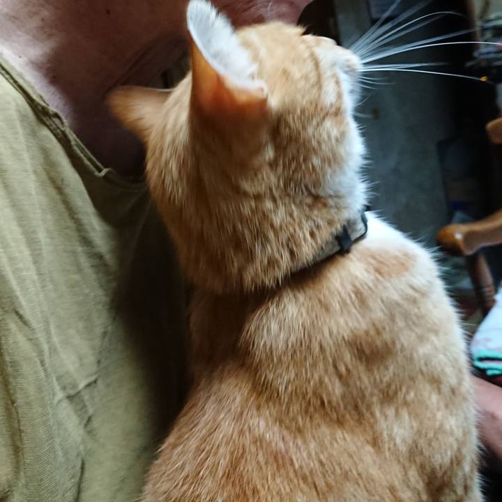 47796db3 a8b3 4254 a7d0 97e5893afba3 1595273739870