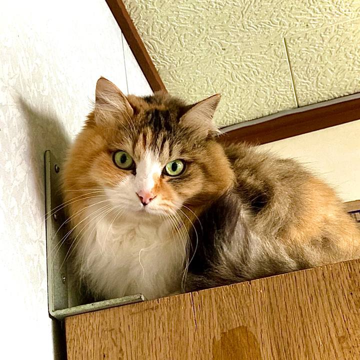 47798fc7 0a2b 4128 ae6a cc7f4fde0b48 1648022564574