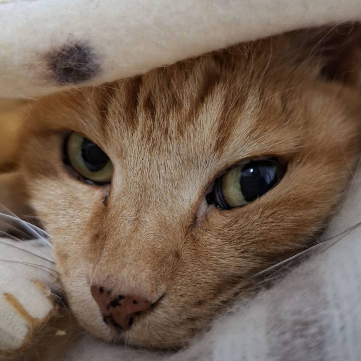 47799c60 199c 4ff5 9927 0553be7b3a4c 1743841589448