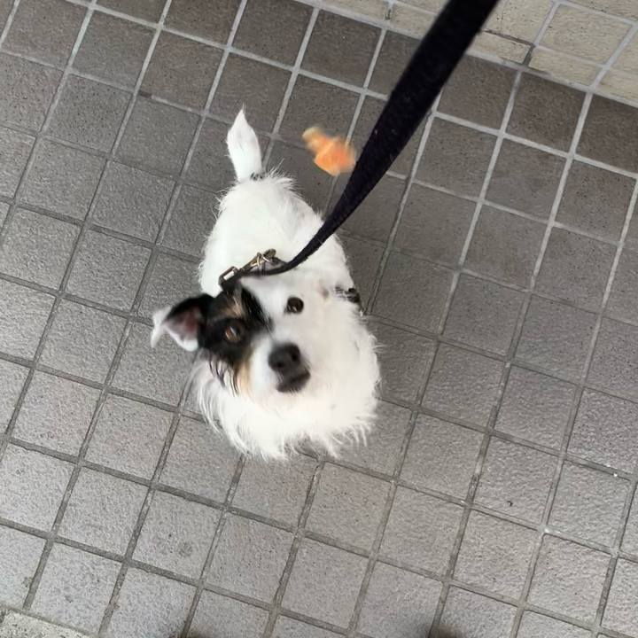 4779c897 df5d 4b5d b5aa ea40485dce06 1676770249507