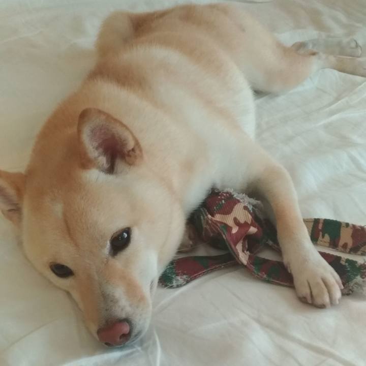 4779cd8d 32b4 4e6b b9a7 cbb88dcad5fa 1536273732995