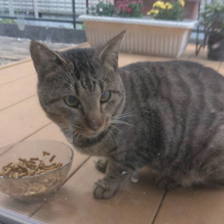 477a0d71 5fd3 4458 844f 0766b9d3773f 1764483814300