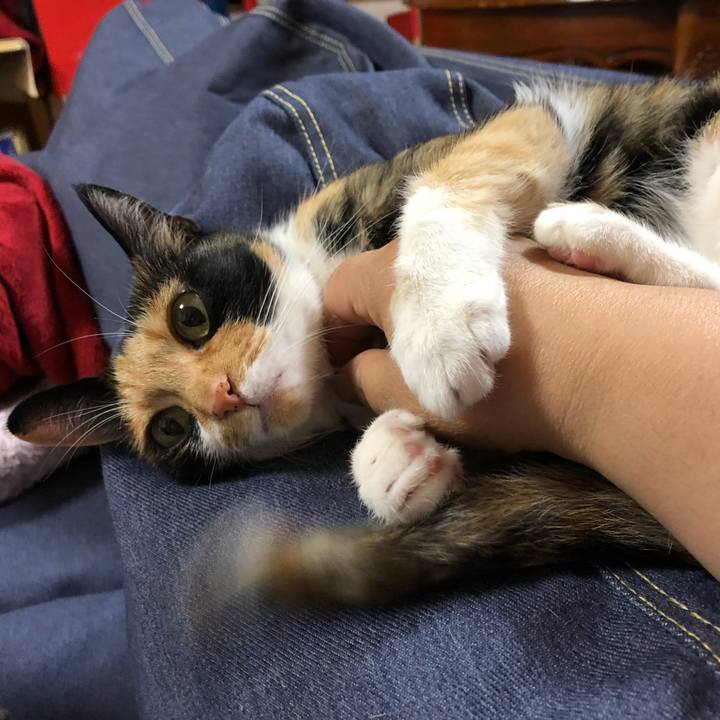 477a17d3 716c 4dfa af59 73e38f6bb2fa 1528723635063