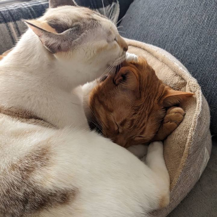 477a2d56 30bb 4666 8a56 2f2dc969ae7a 1710160524313