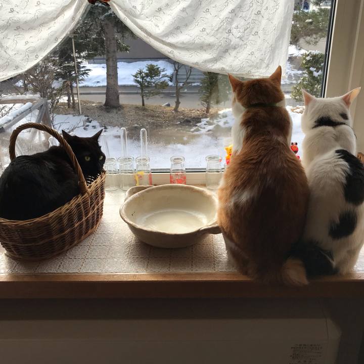 477a4773 b35f 450c 9170 c0af44f0ab9b 1586645639470