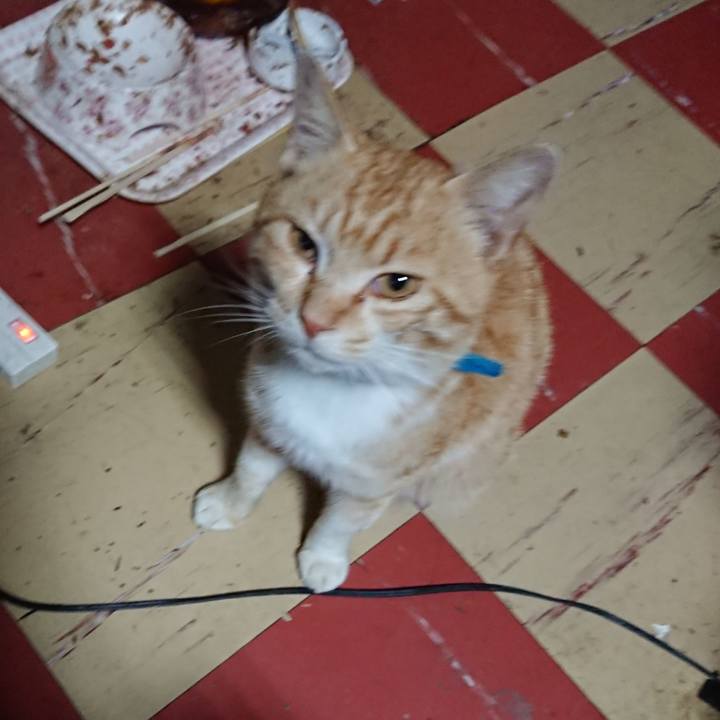 477aa8a8 0f70 4f97 b0c6 57b9cdbed1c2 1556828137048