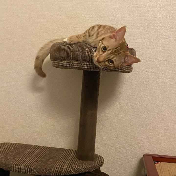 477ad6cf 4ef6 4f97 b72e f284b342b337 1605014428000