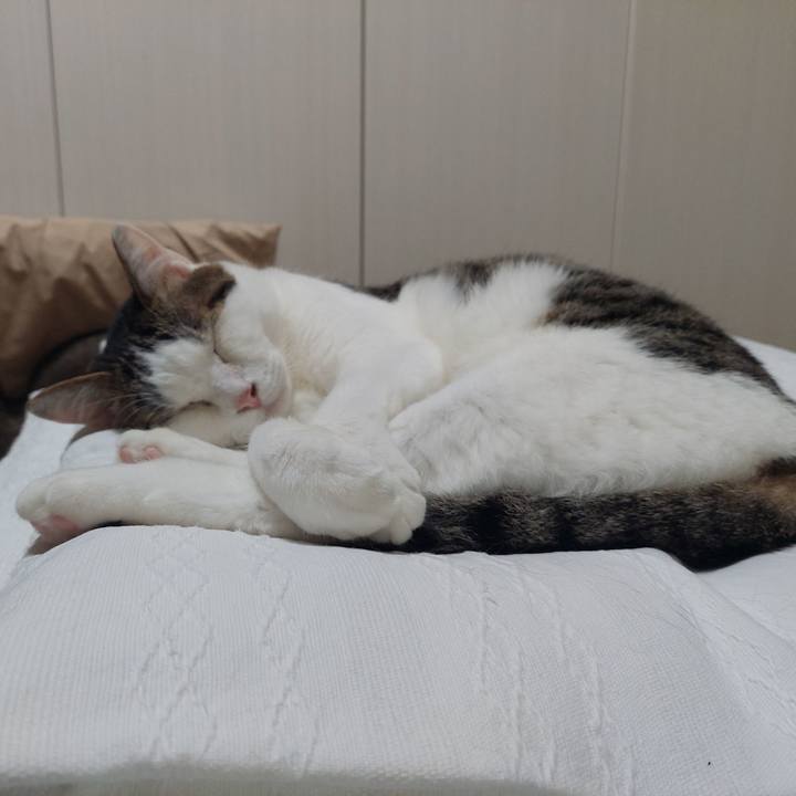 477b5127 ac52 4766 8ad7 ea9c828c171f 1624579532913