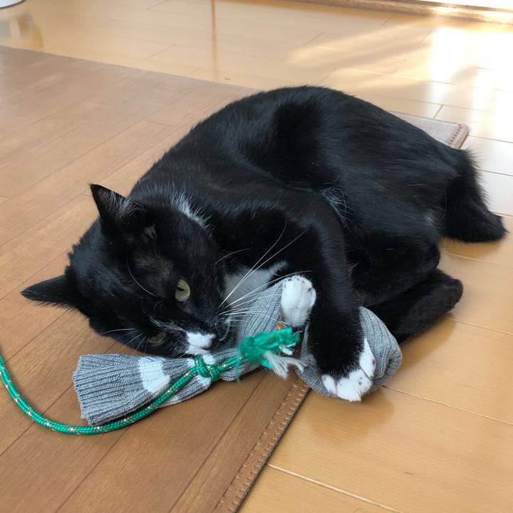 477b6231 5f3c 417f b1ad a168051b9948 1547265006225