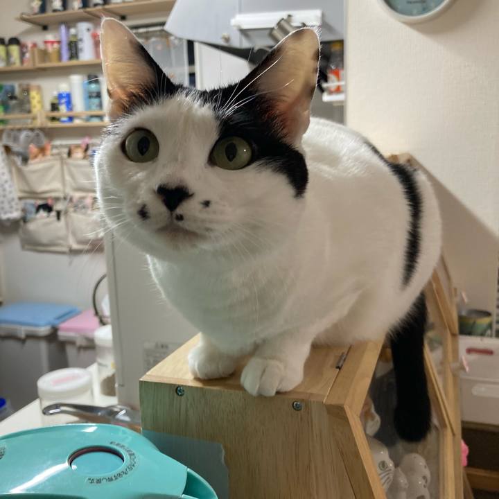 477b8e47 71b8 4193 bf3b 1a7088c2c127 1762116430905