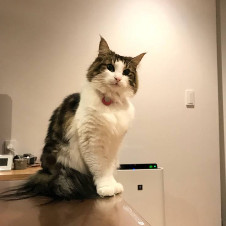 477bd87b 3e8e 4efd 86f7 d741314bead3 1516372647903