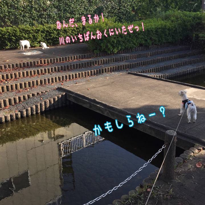 477bfb7c c5b6 4479 95ae 3ebec2cf96ab 1540626152625