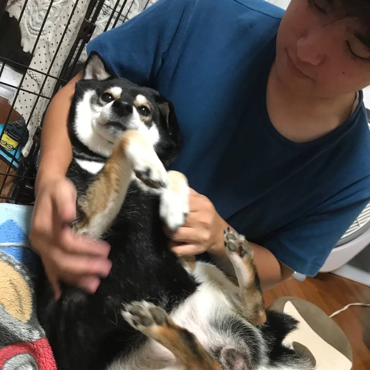 477c22af b121 4455 bcd3 01647e46e96c 1509447573414