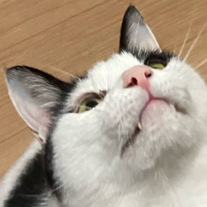 477c24fe 4a8b 4f8b 95df 9c8de06a8b79 1584684030346